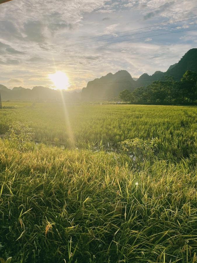 Tam Coc Windy Fields Villa Ninh Binh Exterior foto