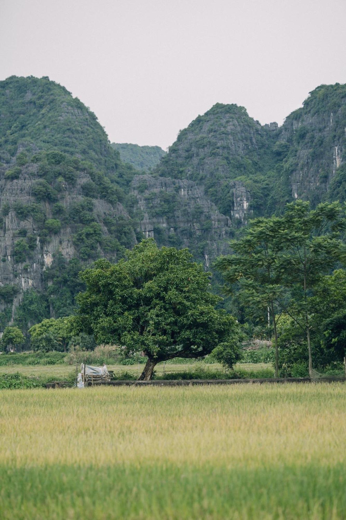 Tam Coc Windy Fields Villa Ninh Binh Exterior foto